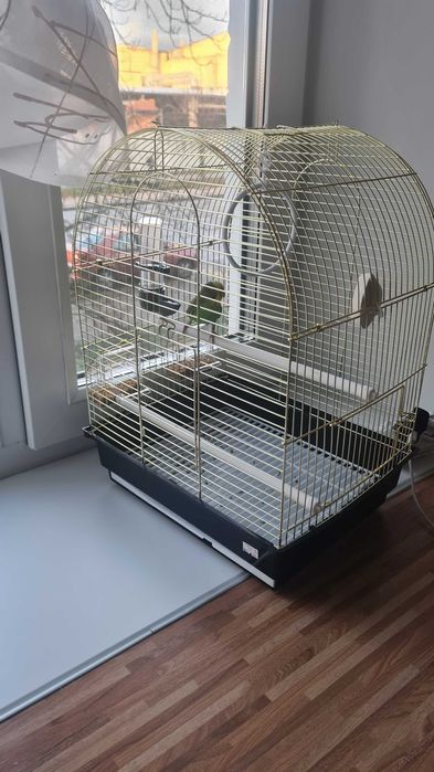 Клітка для папуги з усім необхідним