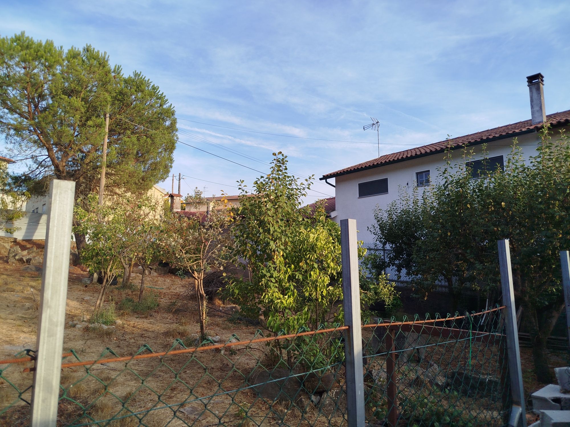 Casa de habitação para venda com terreno e árvores de fruto e anexo