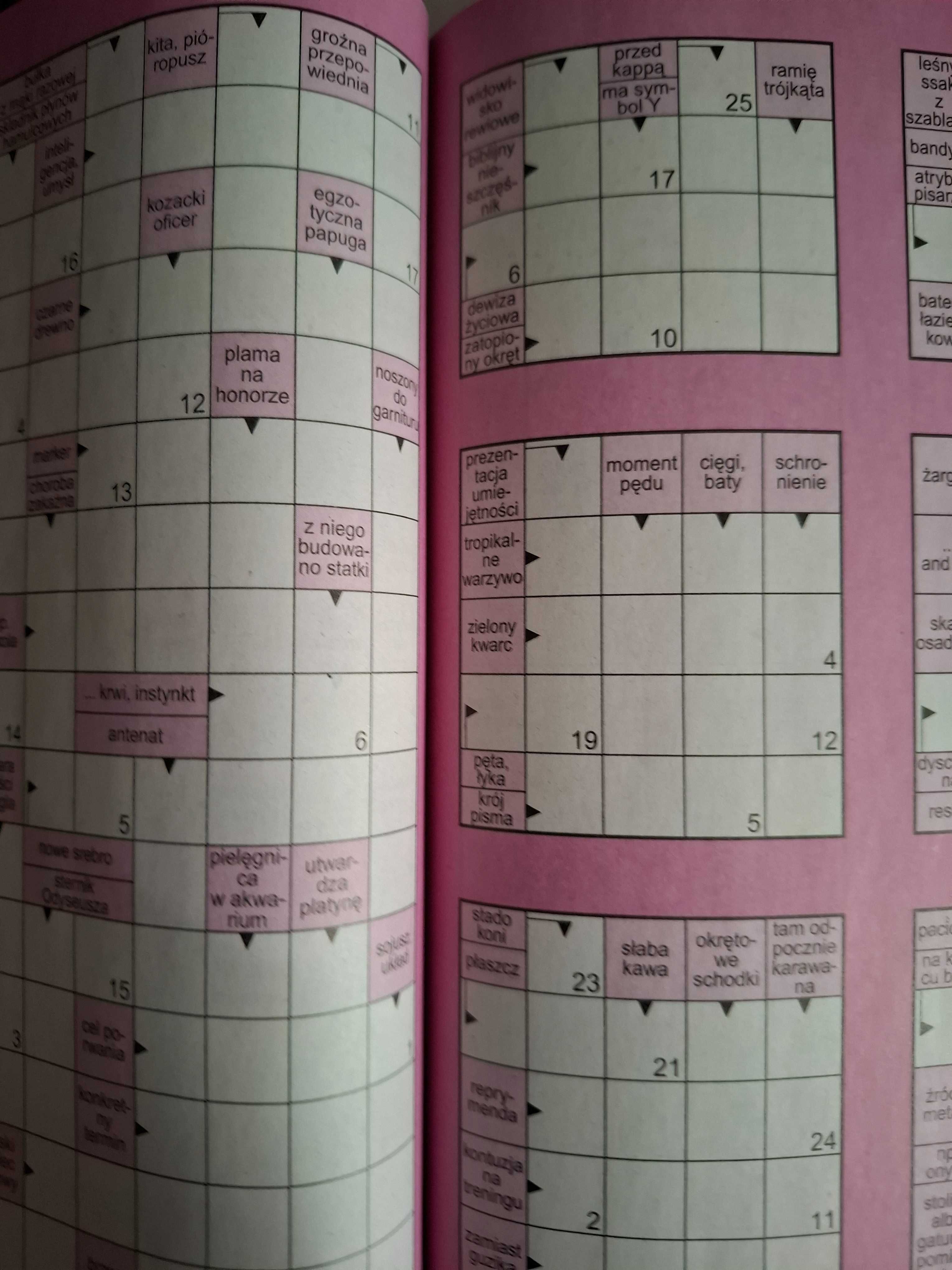 SUDOKU 1000 - Najlepsza Książka Krzyżówek i Łamigłówek Gra Logiczna