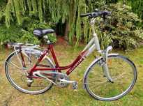 Gazelle rower holenderski