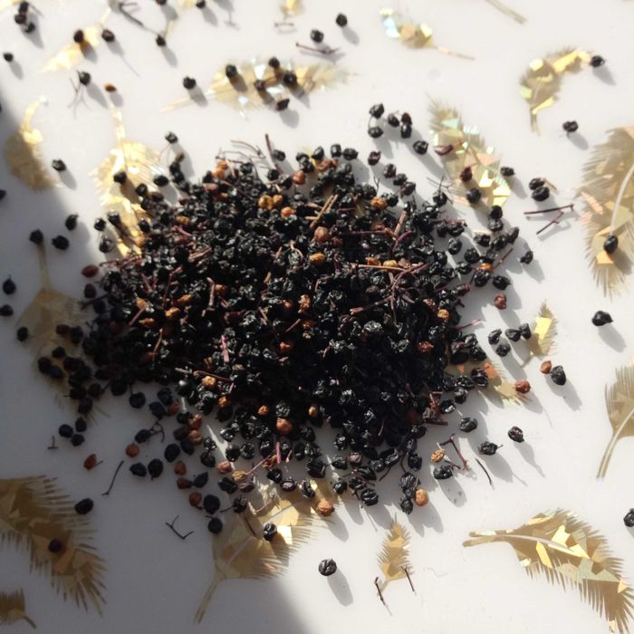 Продам сухую черную бузину. Свежий сбор.