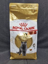 2kg Royal Canin British Shorthair Adult