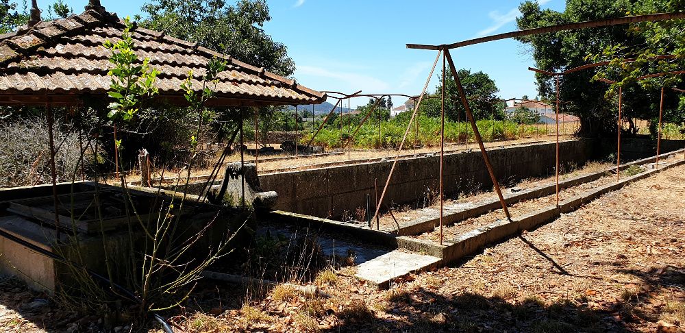 Quinta - 2,5 Hectares - Santa Marta de Portuzelo - Viana do Castelo