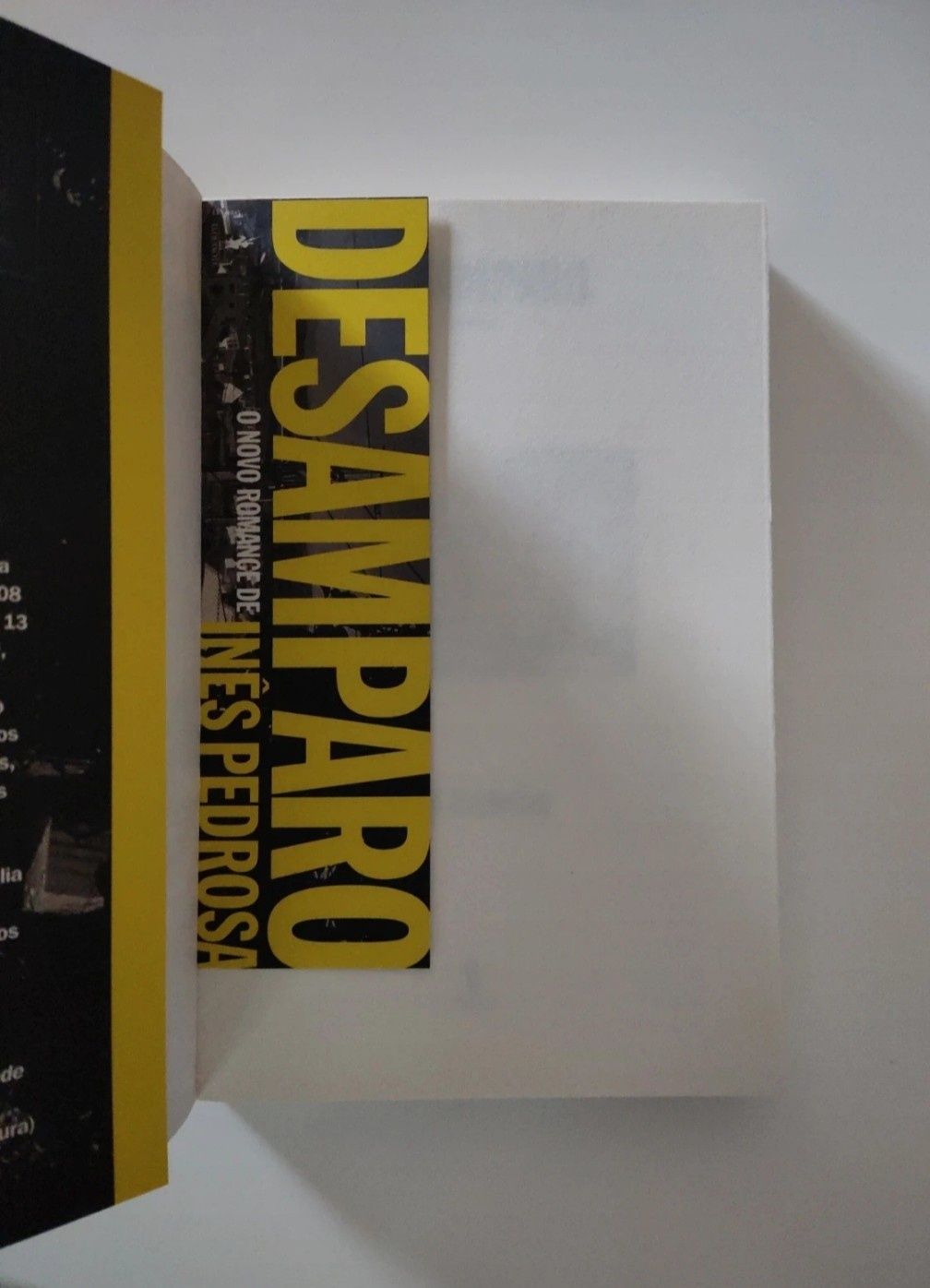 Livro Desamparo de Inês Pedrosa