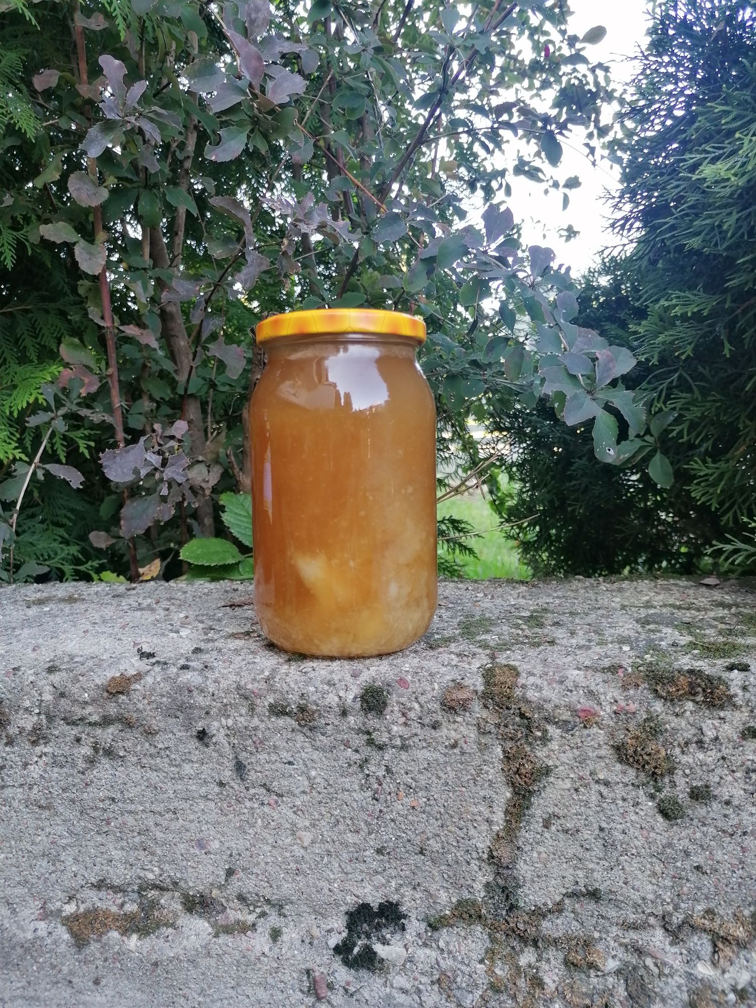 Miód Wrzosowy 80zl