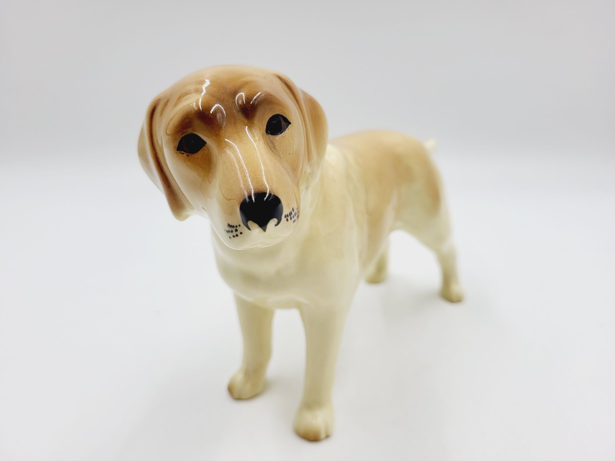 Prześliczna porcelanowa figurka pies labrador