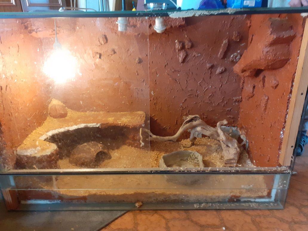 Terrarium dla Węża/Jaszczurki