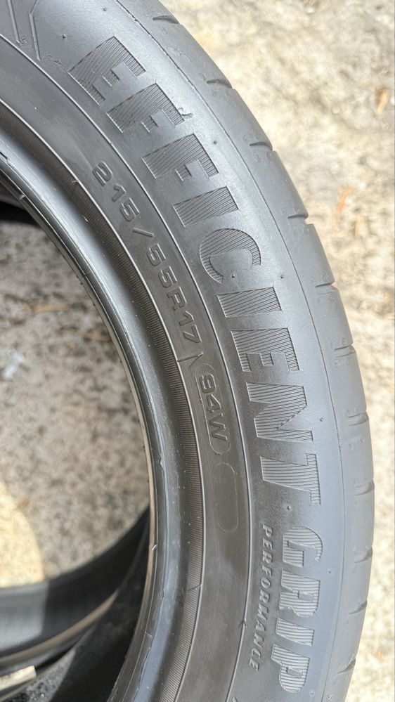 Pneus 215/55r17 Goodyear EfficientGrip Performance com 75% piso