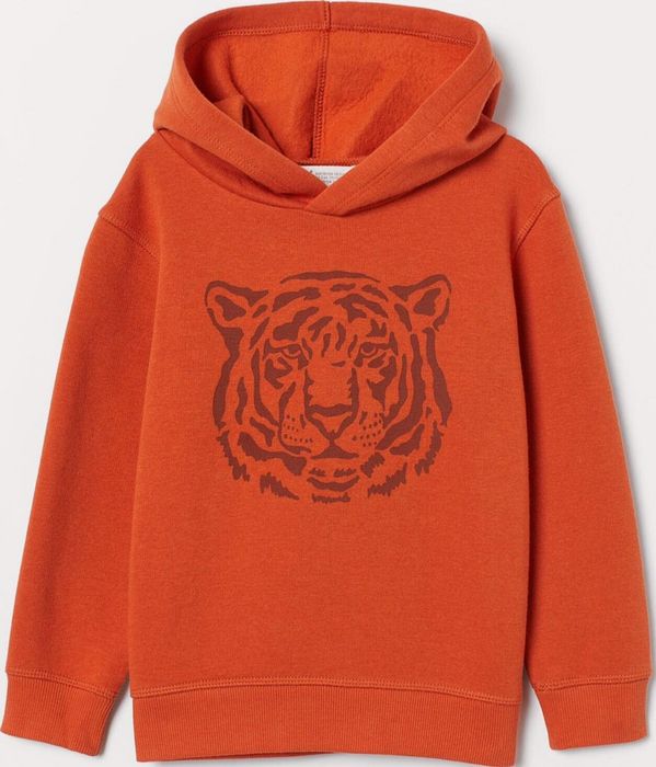 Худі на хлопчика H&M