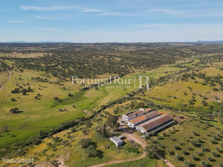 Herdade com 380ha próximo de Castelo Branco