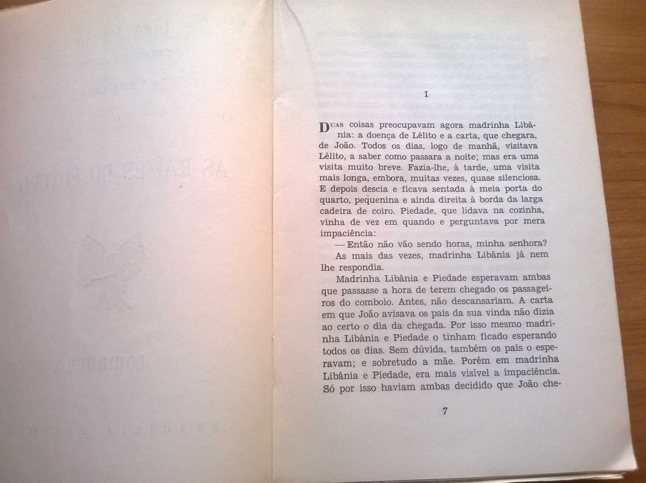 A Velha Casa II - As Raízes do Futuro - José Régio