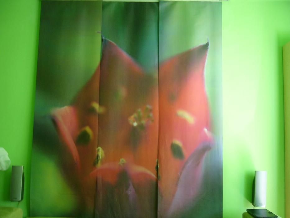 Fototapeta przesuwna obraz motyw KWIAT szer. 180 cm dl. 250 cm