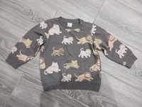 Bluza H&M 92 zwierzęta lwy chłopiec