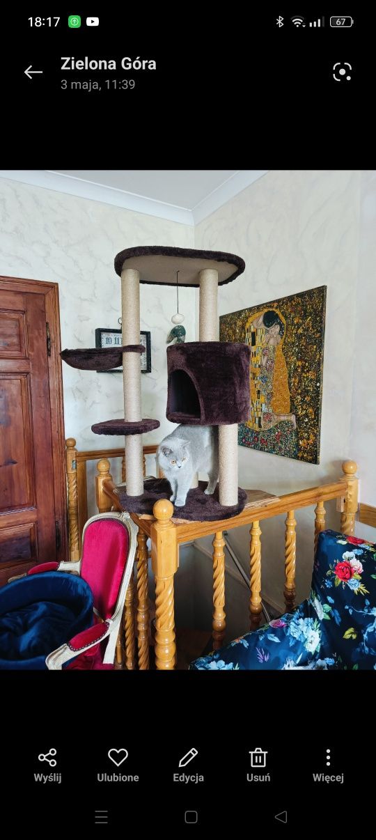 Magic cat amanda drapak dla kota z budka i leżanka brązowy pluszowy