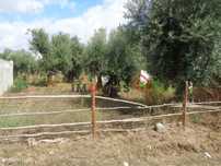 Terreno com viabilidade de construção