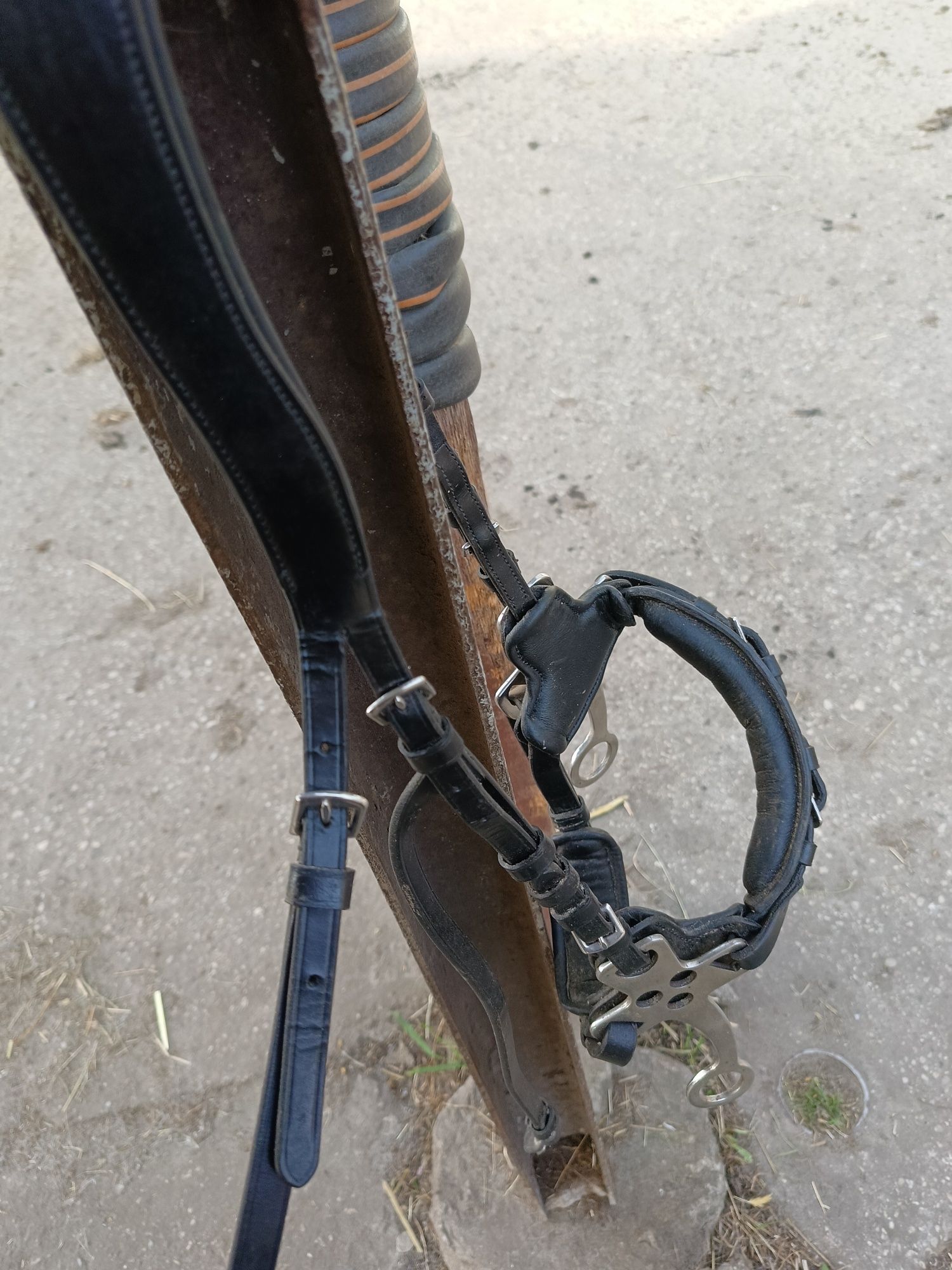 Sprzedam hackamore cob