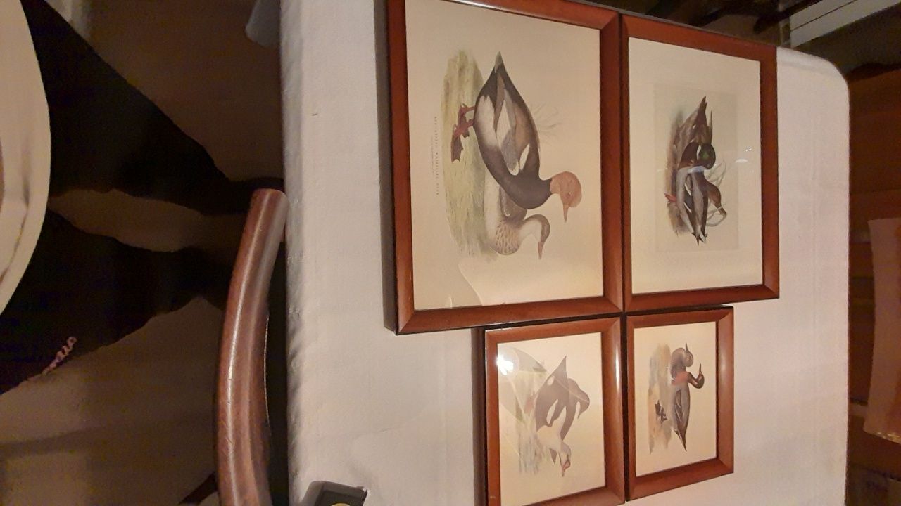 4 gravuras, 2 medidas 44x33 cms + 28x22 cms