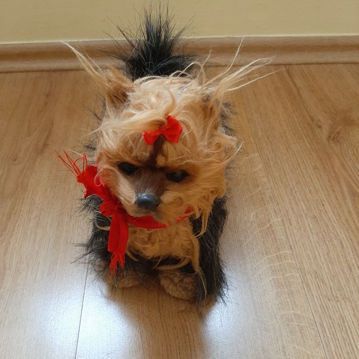 York pies zabawka interaktywna