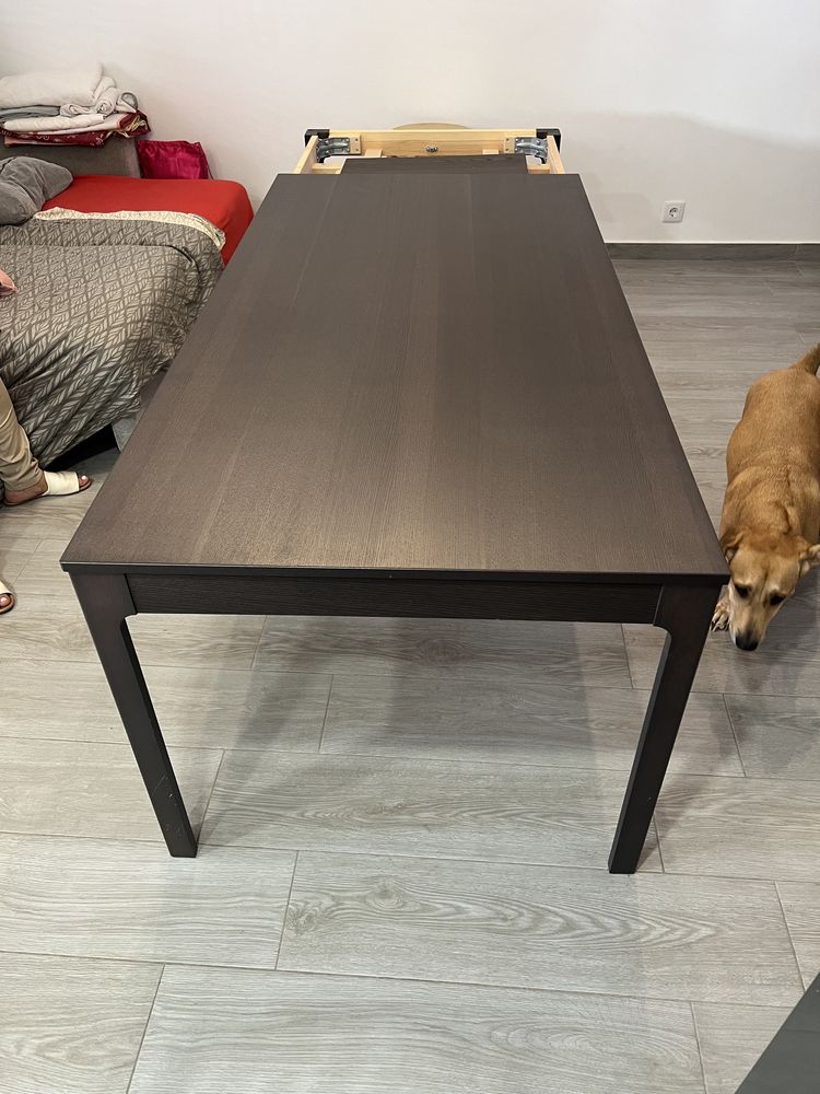 Mesa extensível