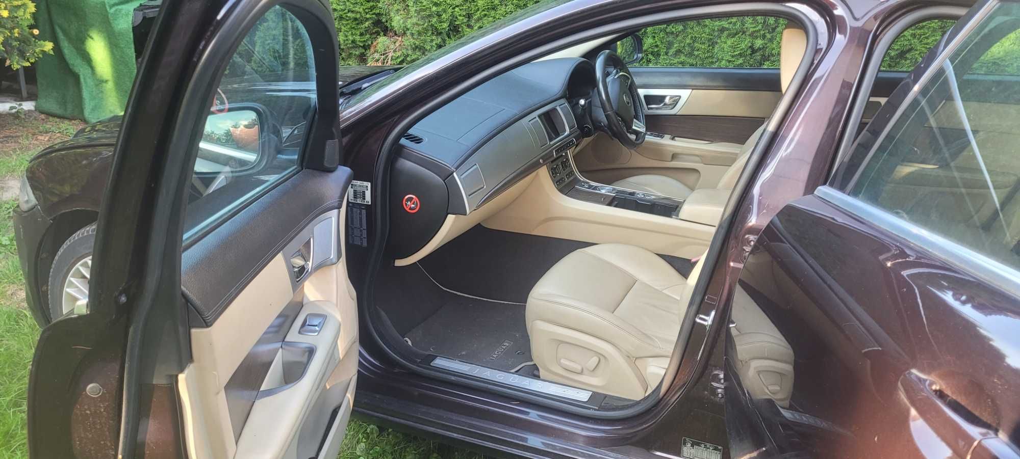 Anglik Jaguar XF