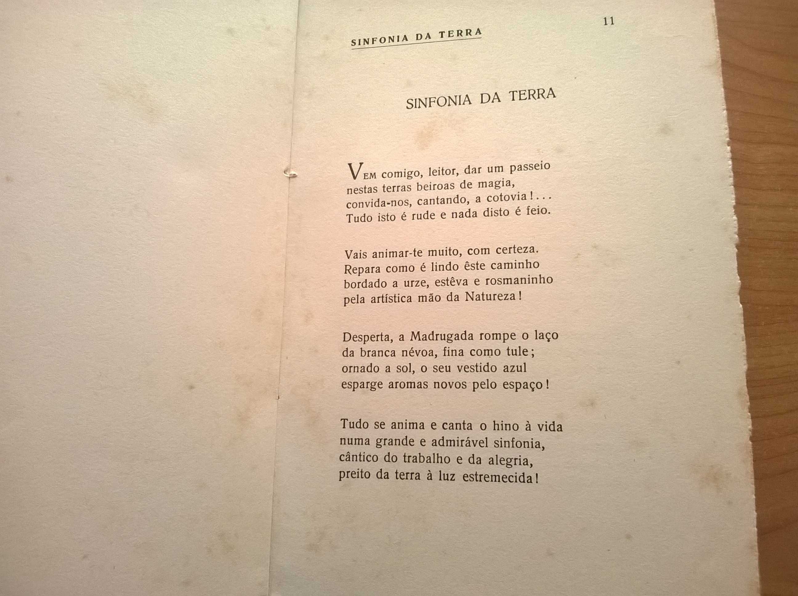 Sinfonia da Terra (autografado ?) - Isaura Matias de Andrade