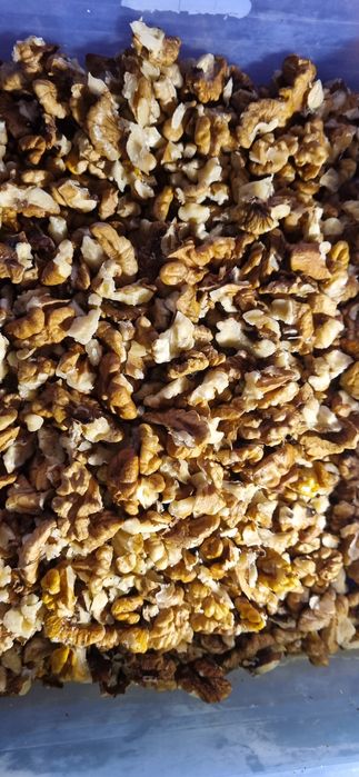 Горіхи волоські,урожай 2025рік