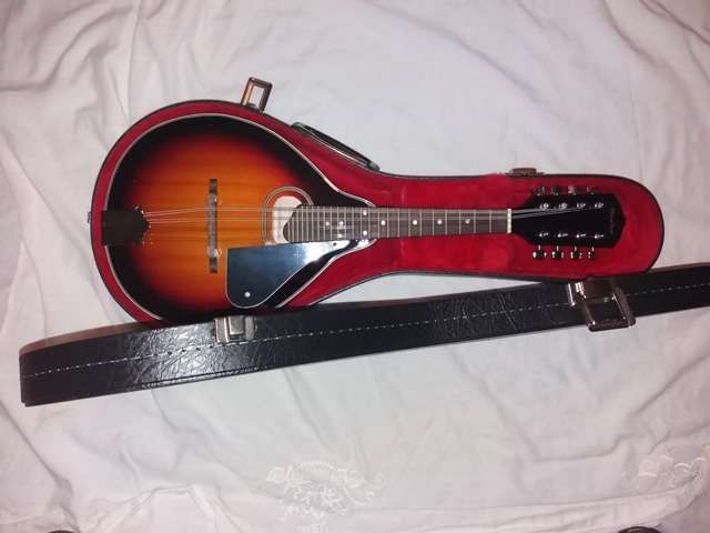 Bandolim de madeira e estojo