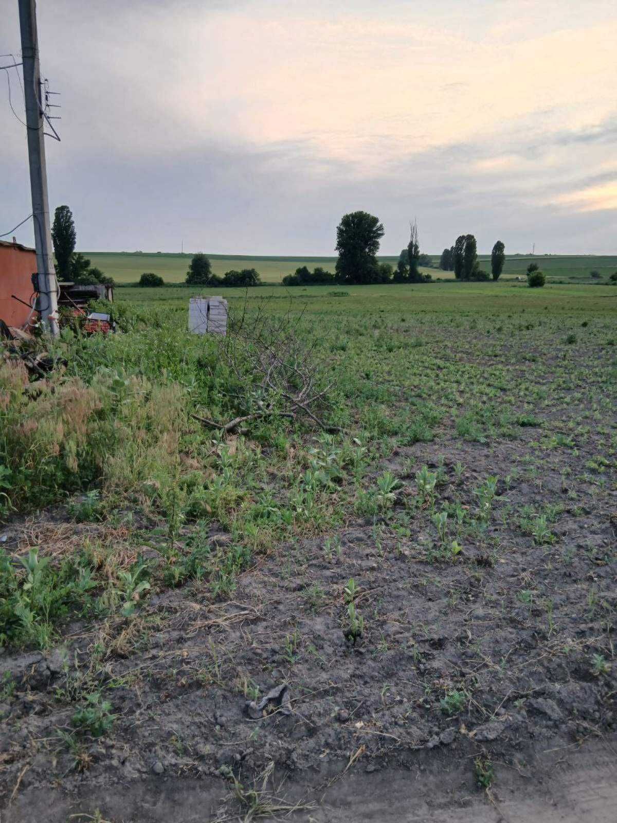 Продам ділянку 20 соток під забудову Халеп'я Витачів Трипілля Без%