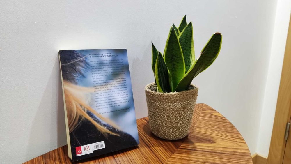 Procuro-te - Lesley Pearse