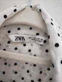 Elegancka koszula w kropki Zara