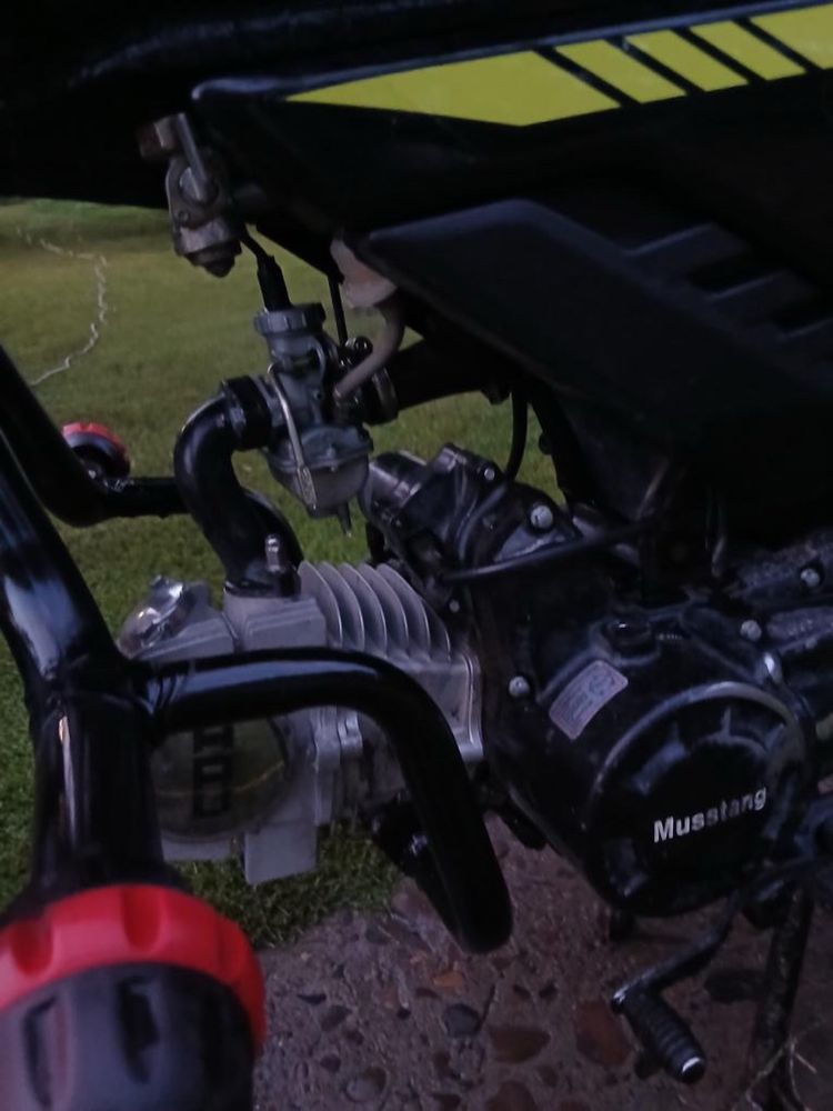 Musstang-Fitt…125