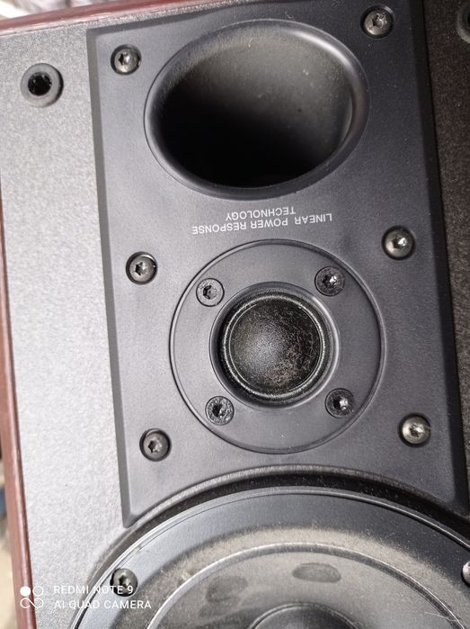 Stare Kolumny Pioneer S-F21