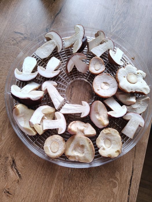 Sprzedam grzyby suszone