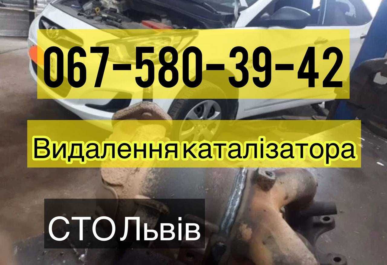 Видалити каталізатор, прошивка ЄВРО2, Доставка Безкоштовно, Гарантія