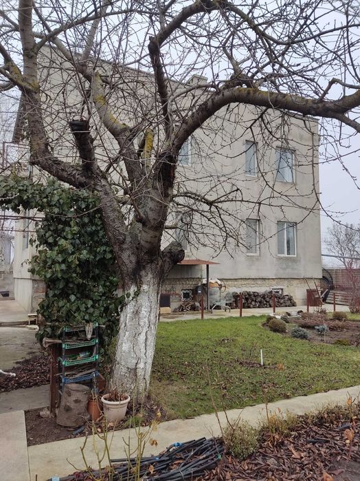 Продам дом в Новой Дофиновке, курортный район на берегу моря.
