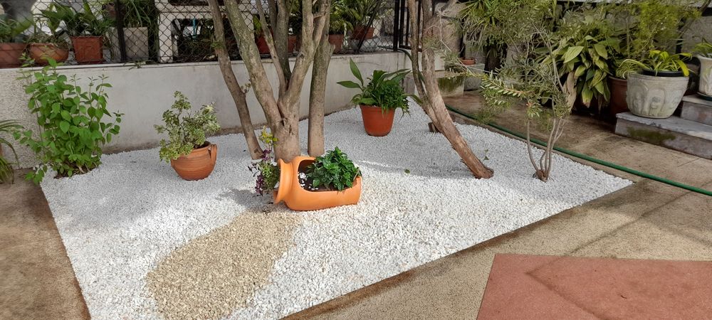 Jardineiro construção e manutenção de jardins
