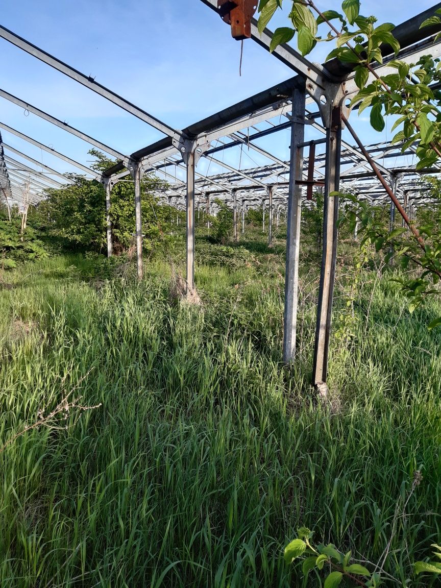 Оренда- продаж теплиці Антрацит.