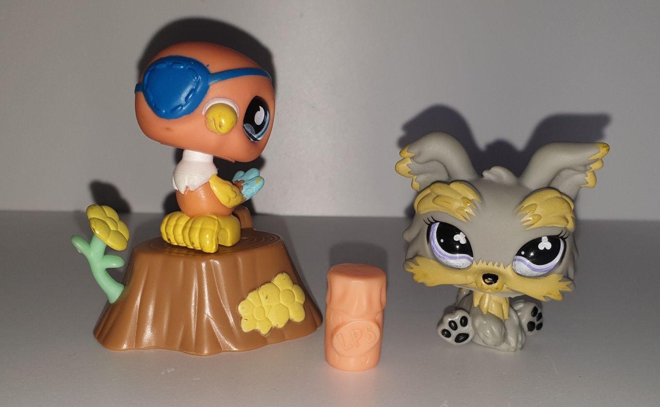 Littlest Pet Shop LPS papuga i york szklane oczy