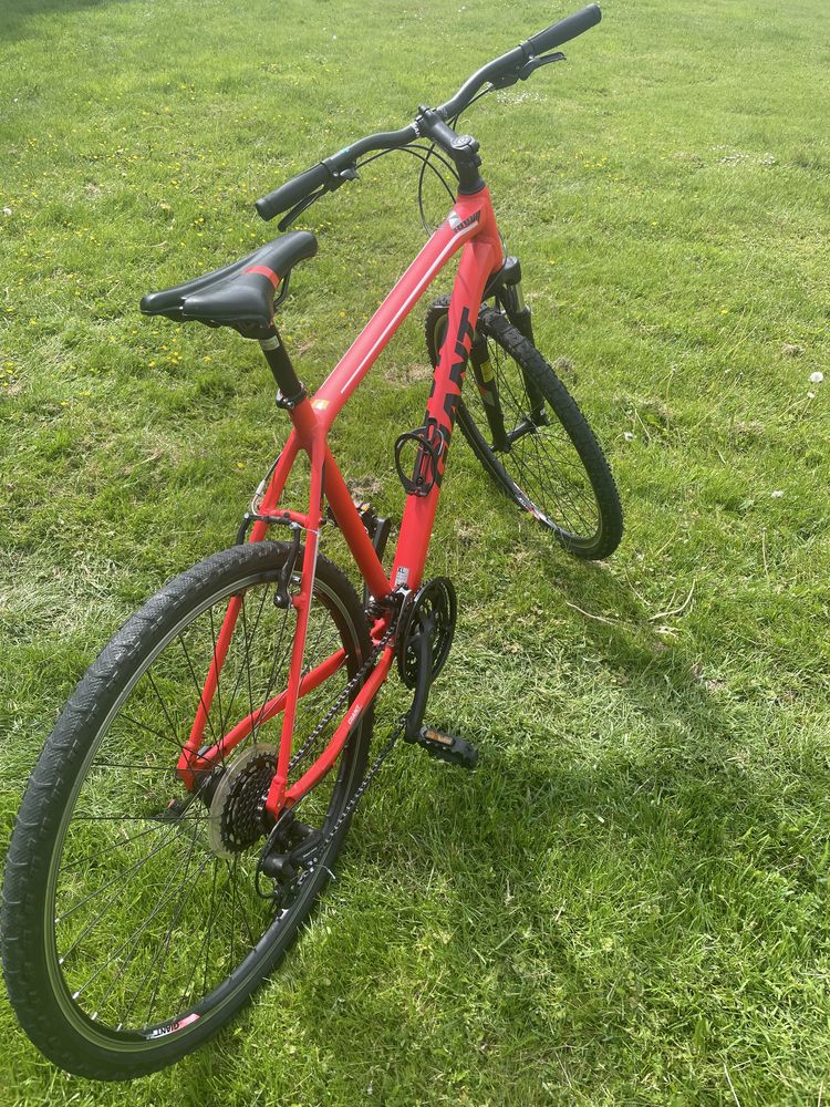 Rower Giant Roam 4 XL 28 Shimano