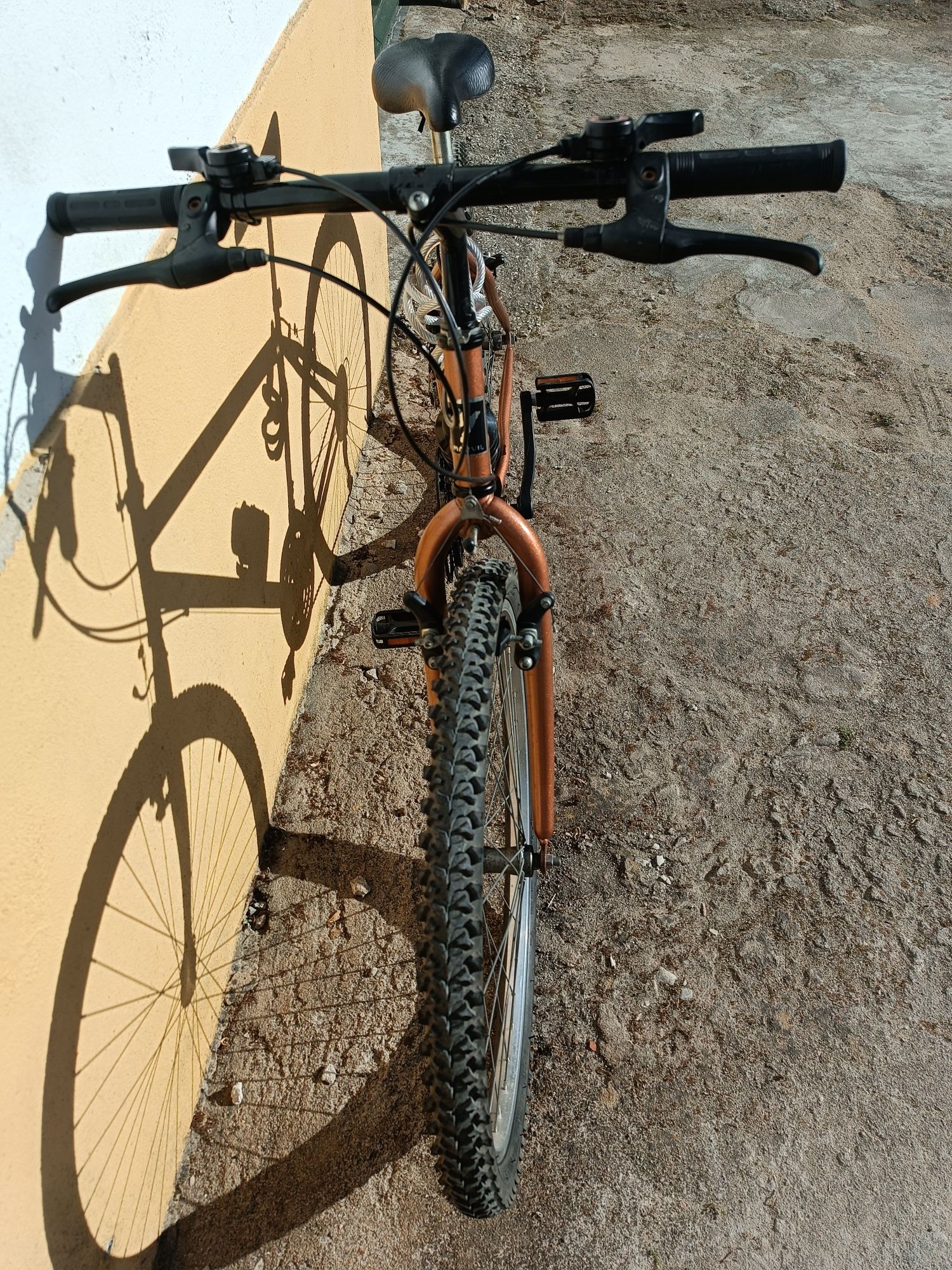 Bicicleta BTT montanha