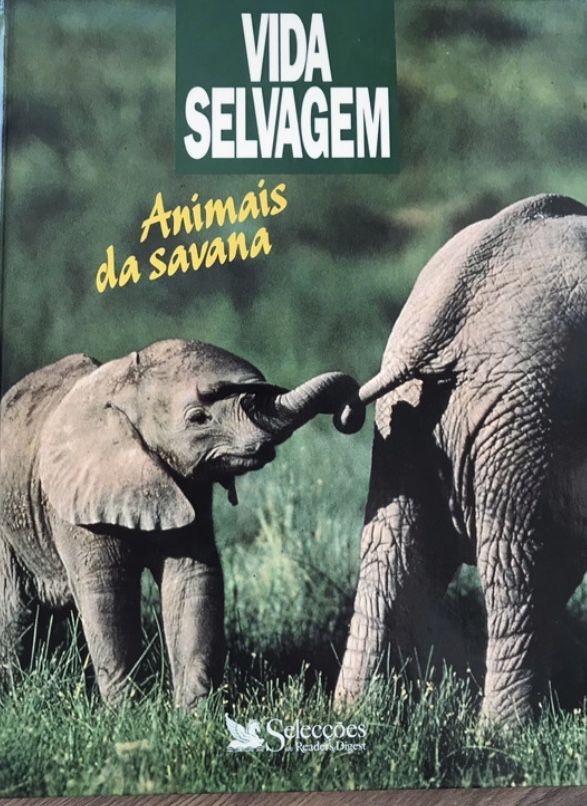 Animais da savana