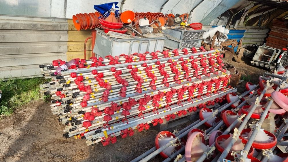 Linia pojenia dla drobiu Lubing