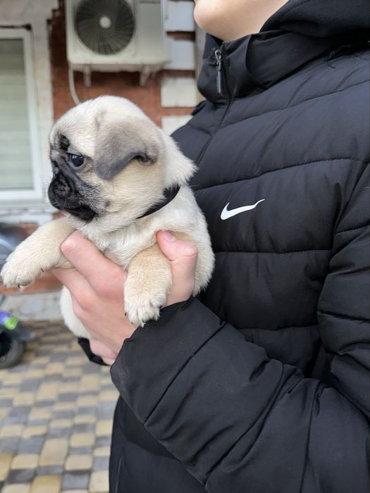 Чудова дівчинка!!!