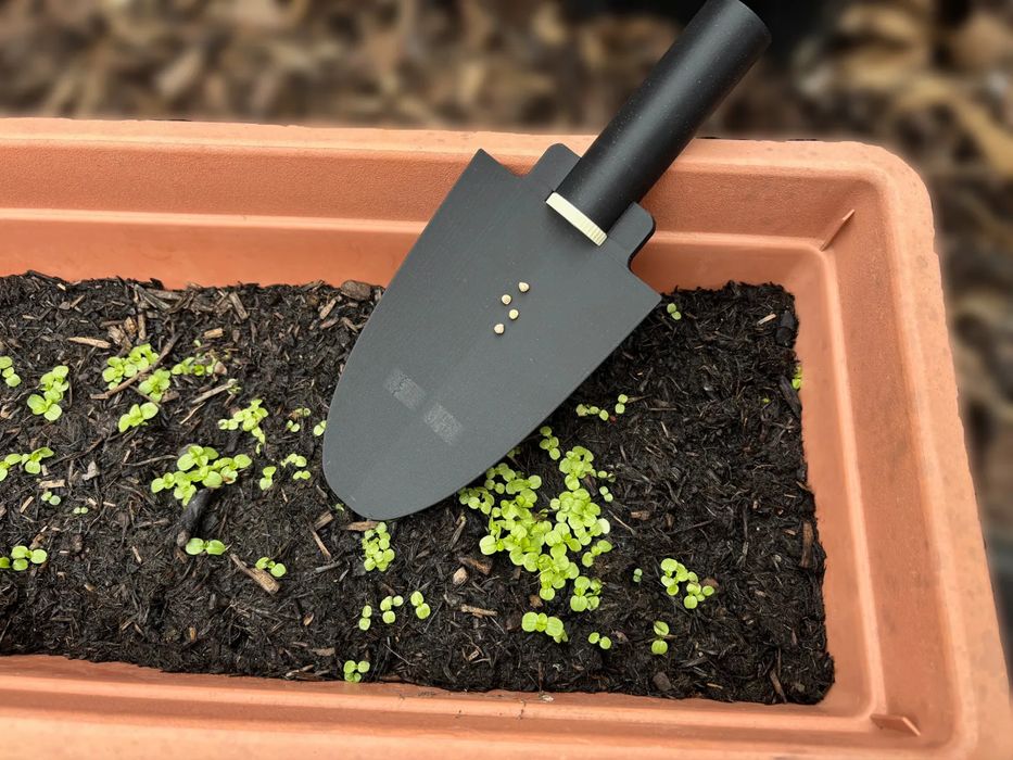 Dispensador Sementes Ajustável Vibração Jardins