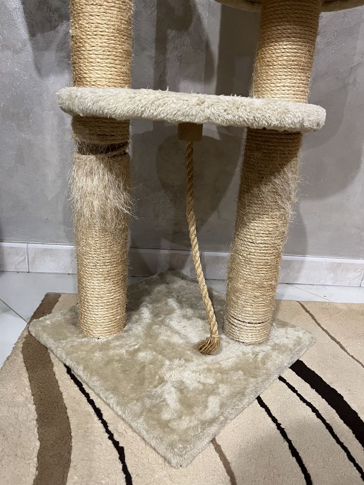 Кігтеточка, хатинка для кота