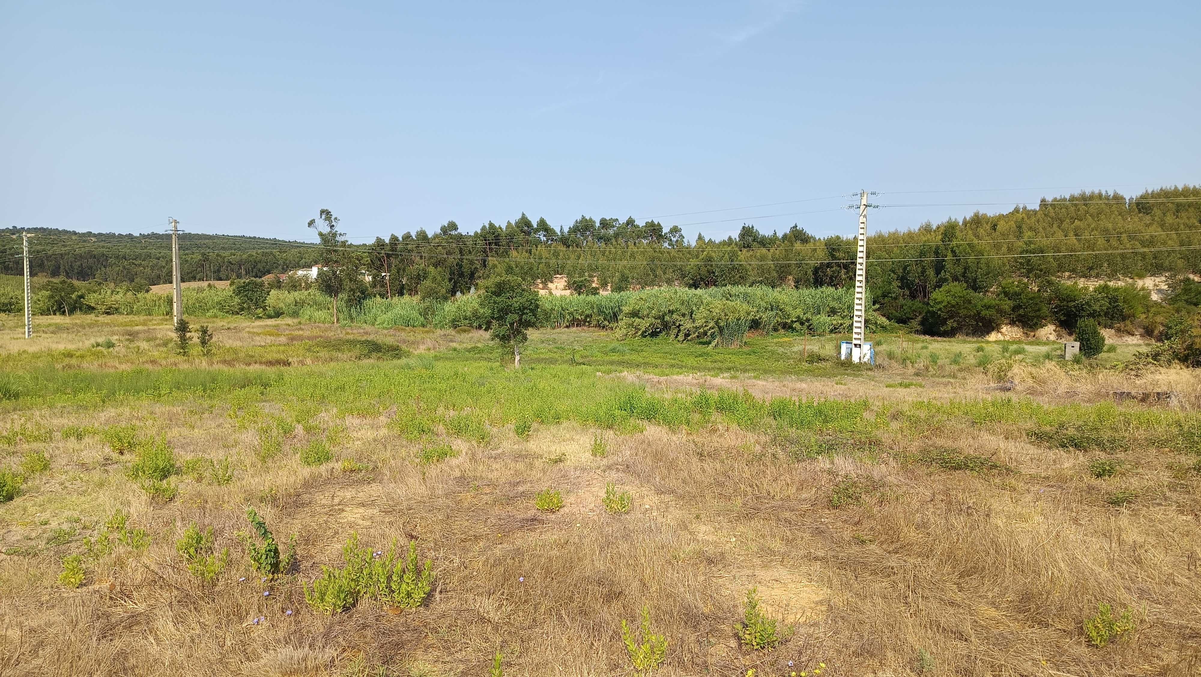 Terreno a venda em torres vedras