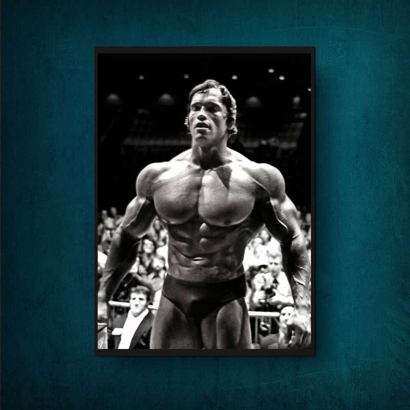 Bodybuilding Culturismo Arnold Frank Zane Poster - Tamanho A1-A2-A3