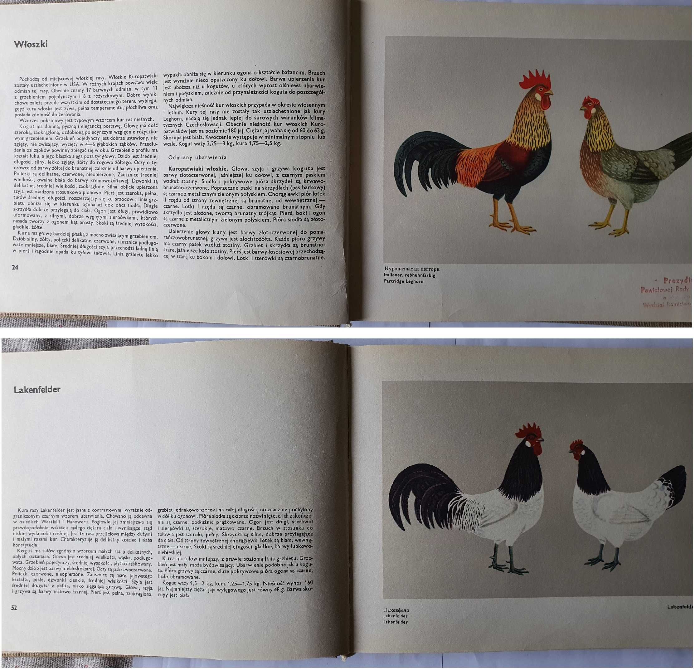Atlas ras drobiu wyd. 1966 r. Malik Vladimir Stefka Stefan