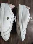 Adidas Lacoste rozm.33 dla dziewczynki