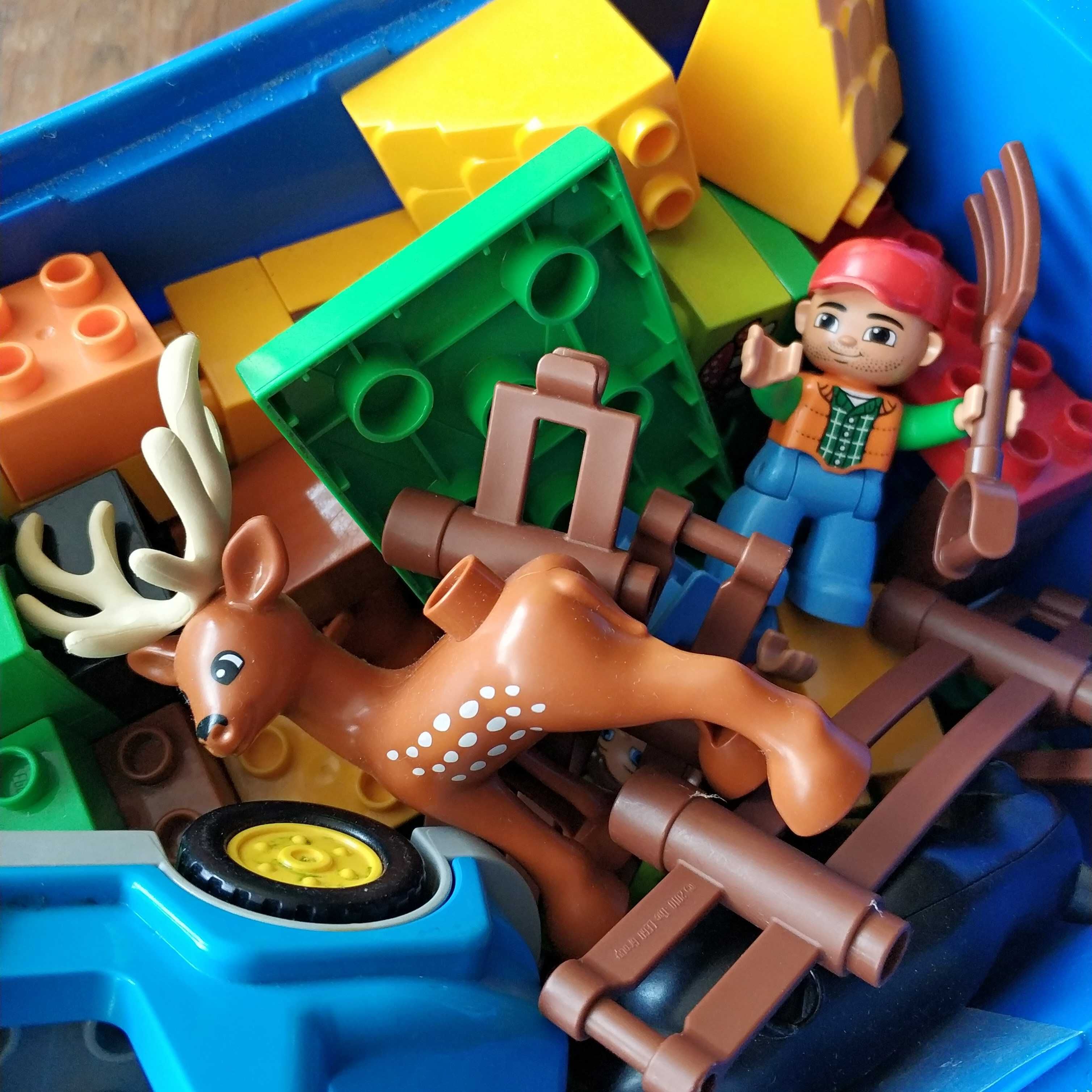 Конструктор LEGO Duplo Лісовий заповідник (10584)